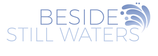 bsw-light-web-logo